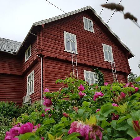 Haugtun Gardspensjonat Og Leiligheter Nordre Land Exterior photo