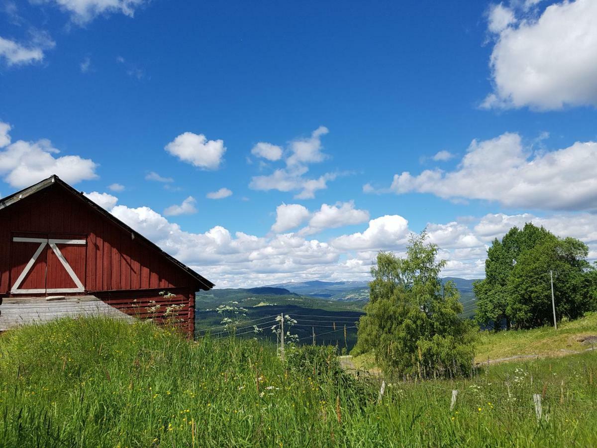 Haugtun Gardspensjonat Og Leiligheter Nordre Land Exterior photo